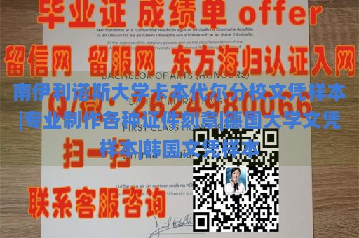 南伊利诺斯大学卡本代尔分校文凭样本|专业制作各种证件刻章|德国大学文凭样本|韩国文凭样本